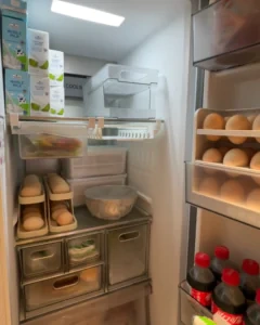 fridge-organizer